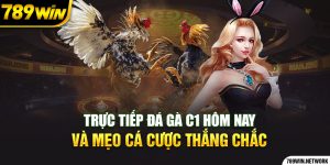 Trực Tiếp Đá Gà C1 Hôm Nay Và Mẹo Cá Cược Thắng Chắc