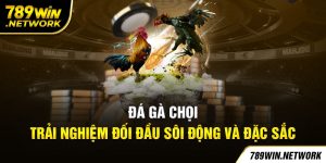 Đá Gà Chọi 789win- Trải Nghiệm Đối Đầu Sôi Động Và Đặc Sắc